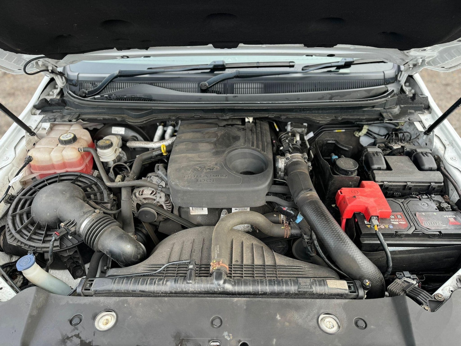 Used Ford Ranger 2019 for sale - 77496300: Photo 56