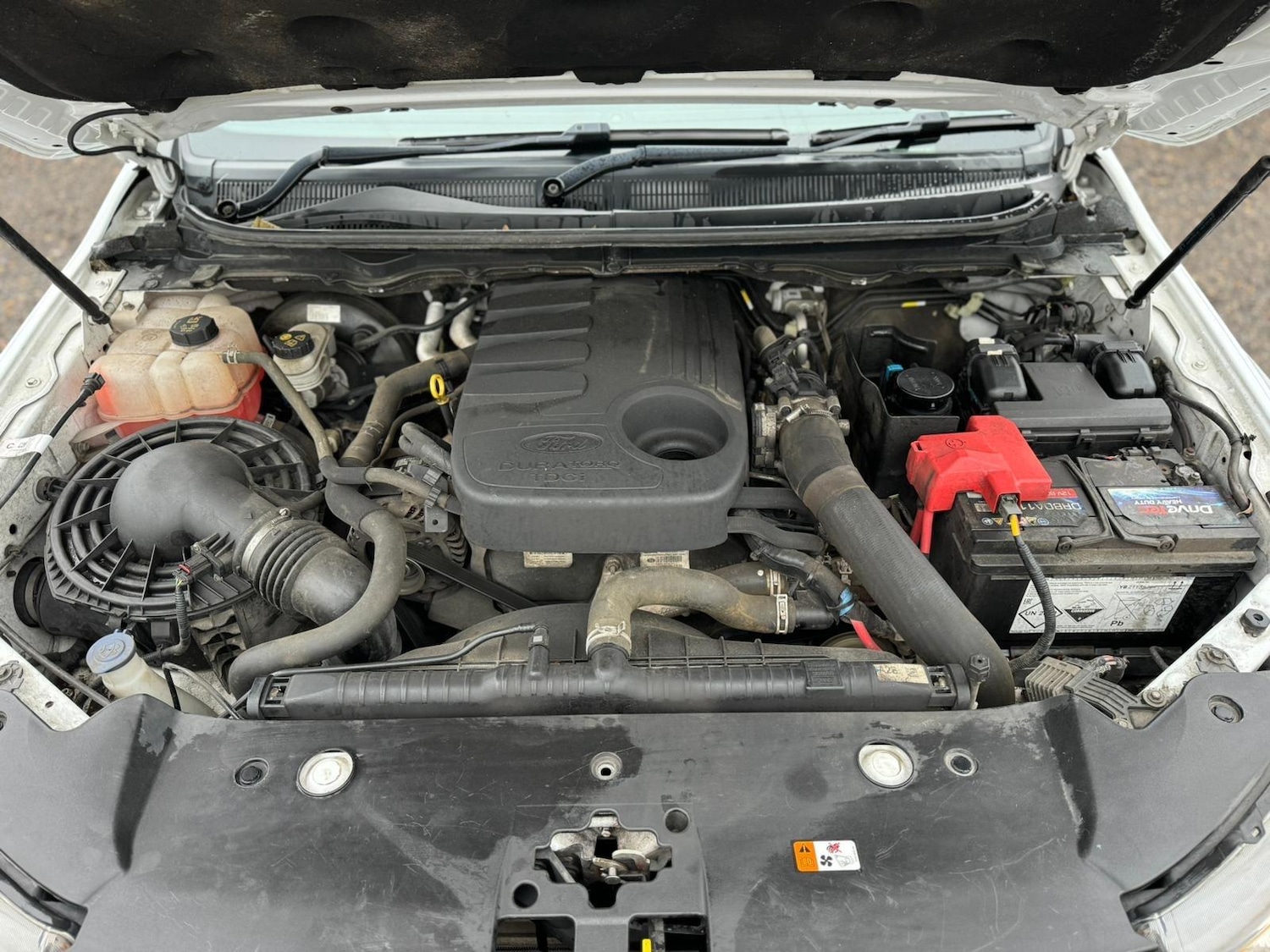 Used Ford Ranger 2019 for sale - 77478781: Photo 57