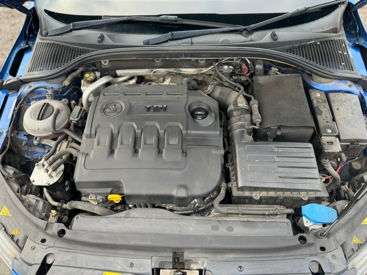 Used Skoda Octavia 2016 for sale - 77082018: Photo 37