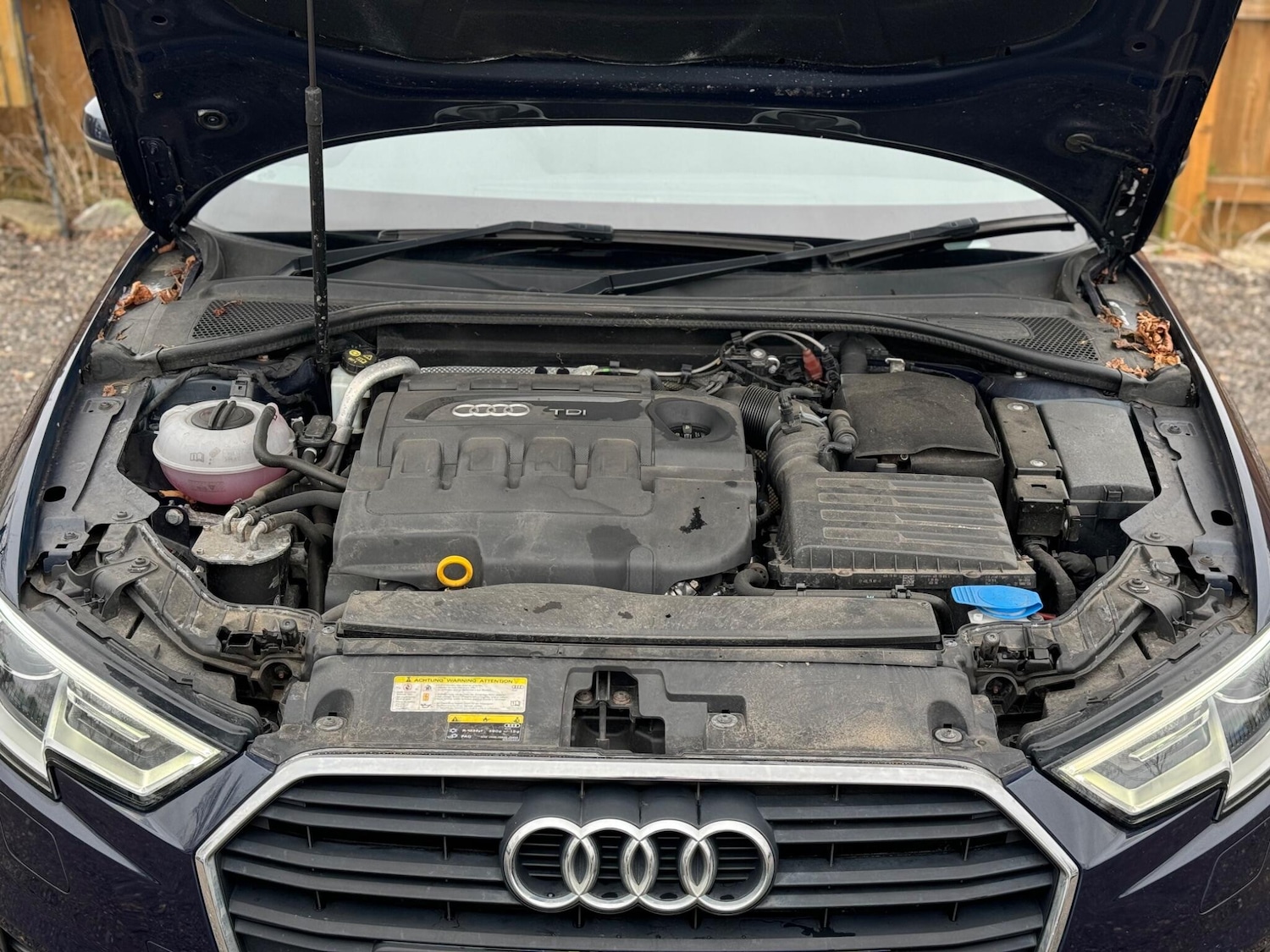Used Audi A3 2016 for sale - 78062679: Photo 31