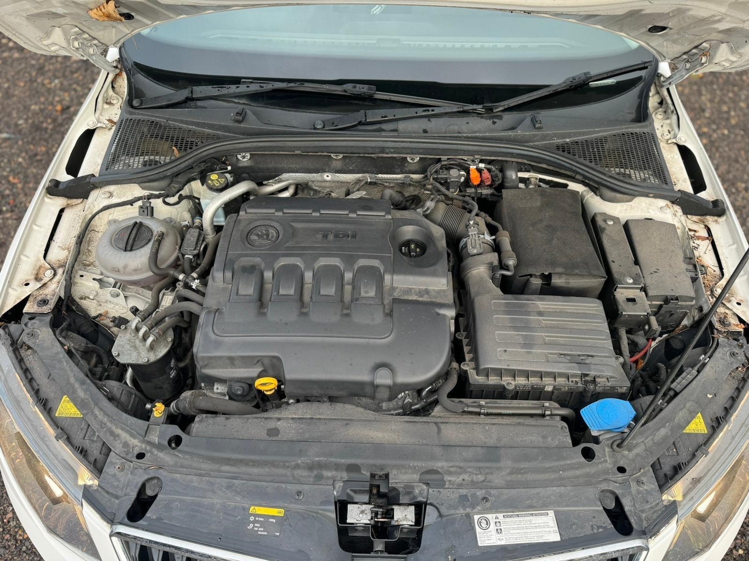 Used Skoda Octavia 2014 for sale - 77550754: Photo 41