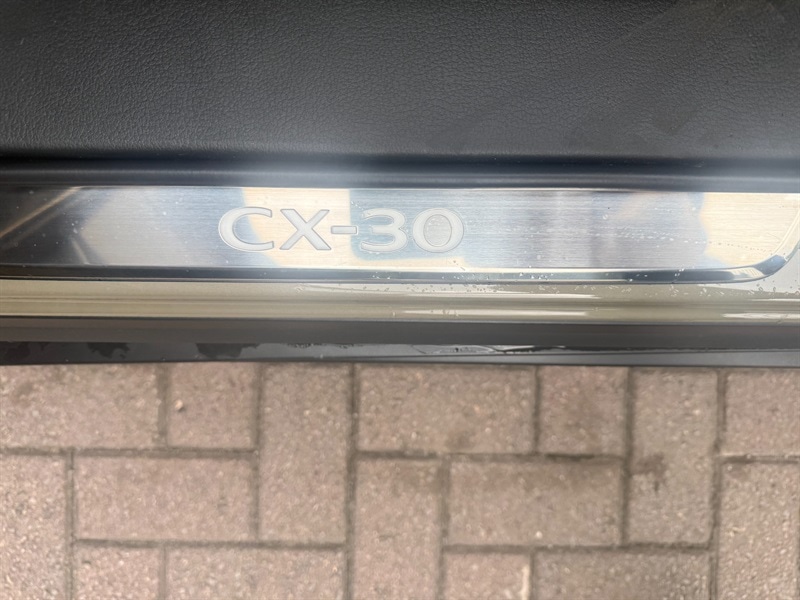 Vehicle 44