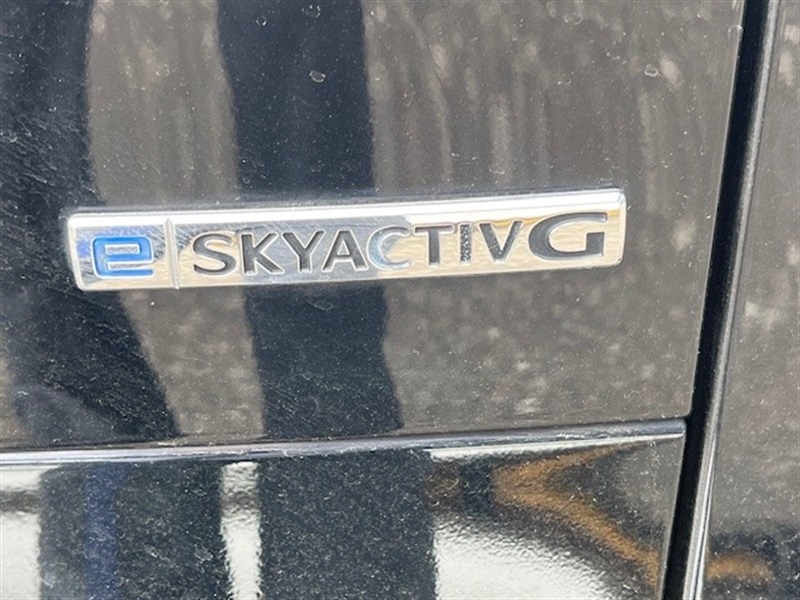 Vehicle 53