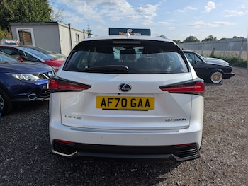 Used Lexus NX 2020 for sale - 79351074: Photo
