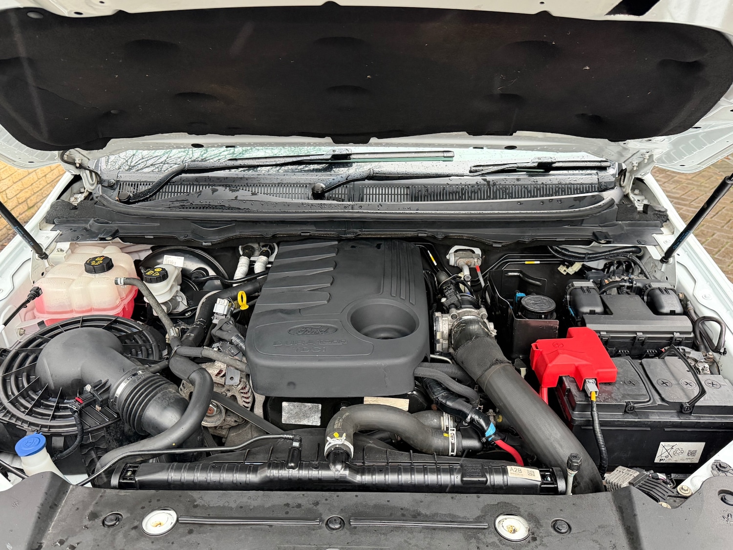 Used Ford Ranger 2017 for sale - 77449117: Photo 15