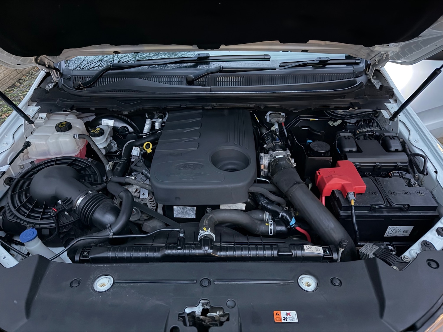 Used Ford Ranger 2017 for sale - 76835761: Photo 13