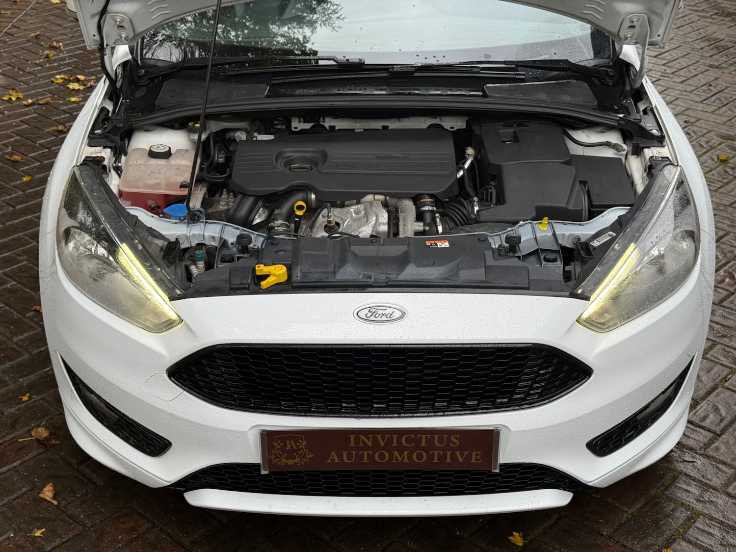 Used Ford Focus 2017 for sale - 76507310: Photo 7