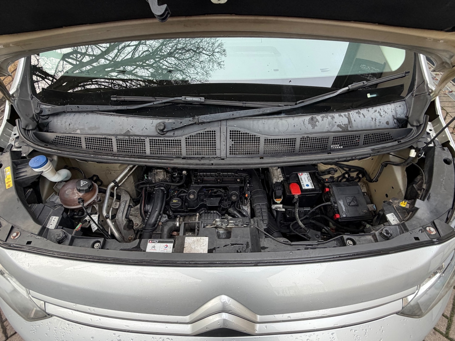 Used Citroen Dispatch 2017 for sale - 77196170: Photo 17