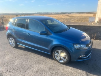 Used Volkswagen Polo 2016 for sale - 79515416: Photo