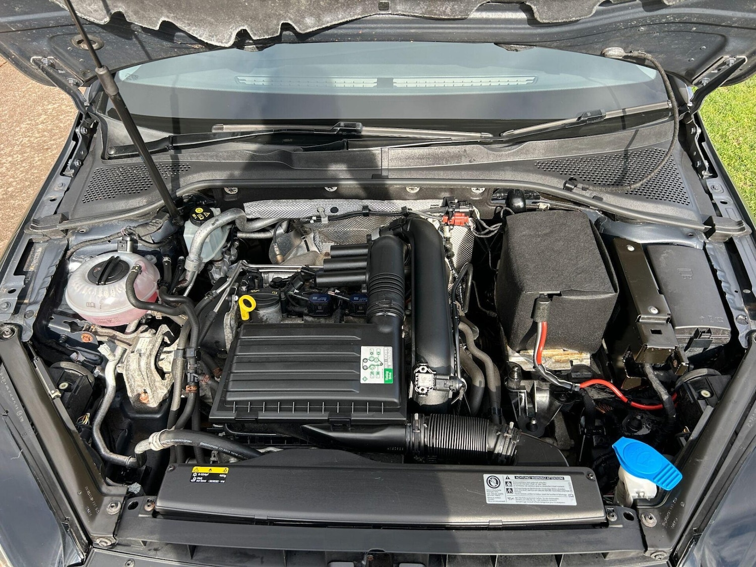 Used Volkswagen Golf 2016 for sale - 77649946: Photo 16