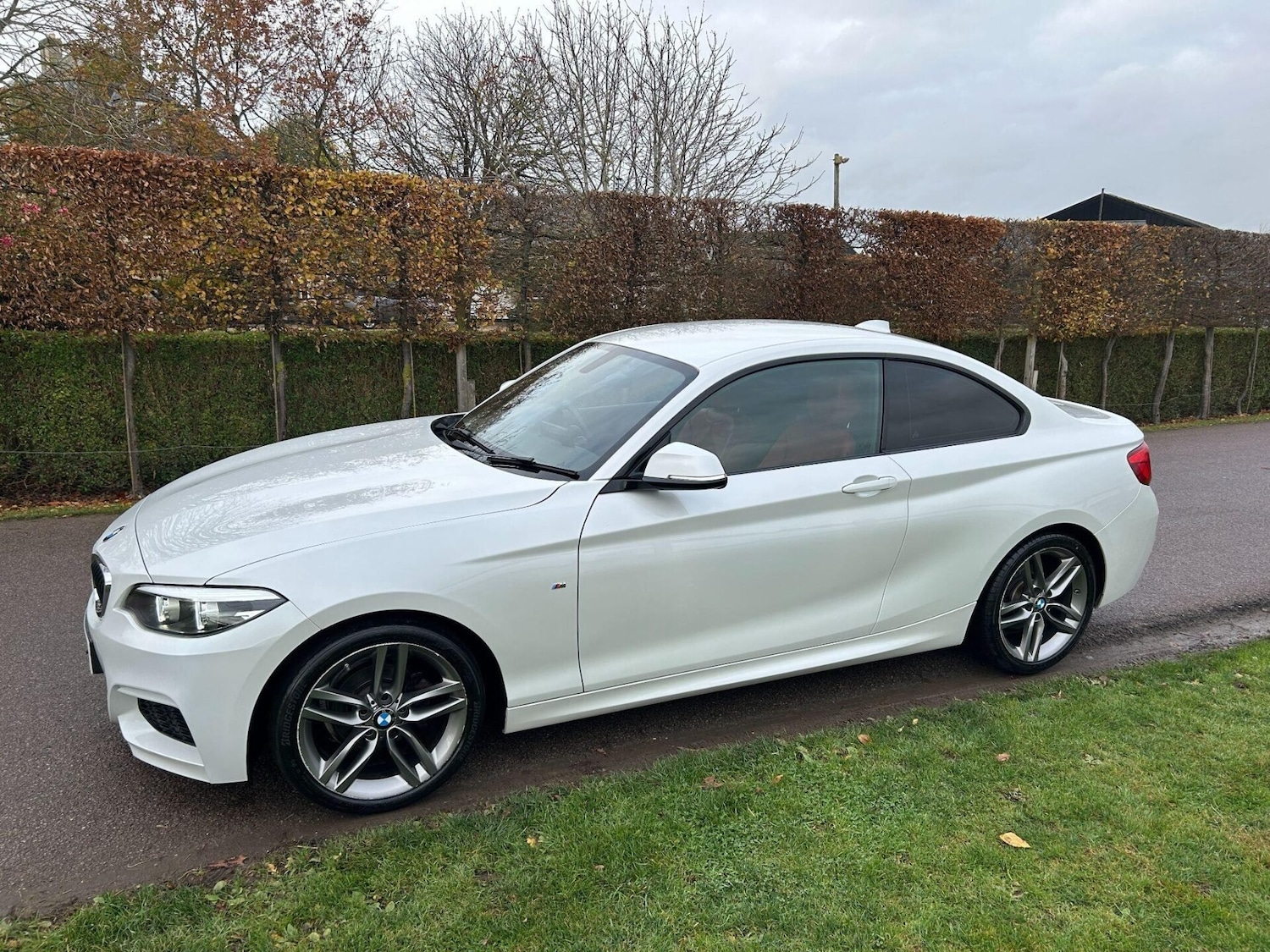 Used BMW 2 Series 2018 for sale - 76541375: Photo 2