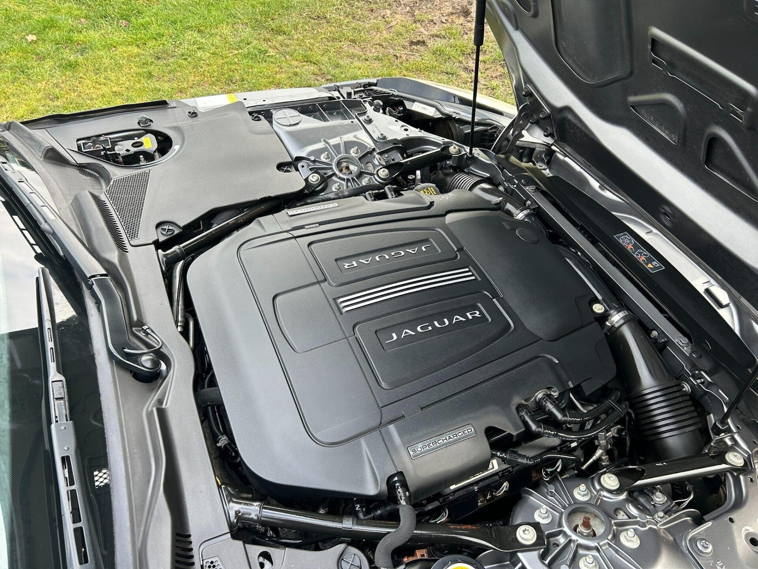 Used Jaguar F-Type 2015 for sale - 77168666: Photo 22