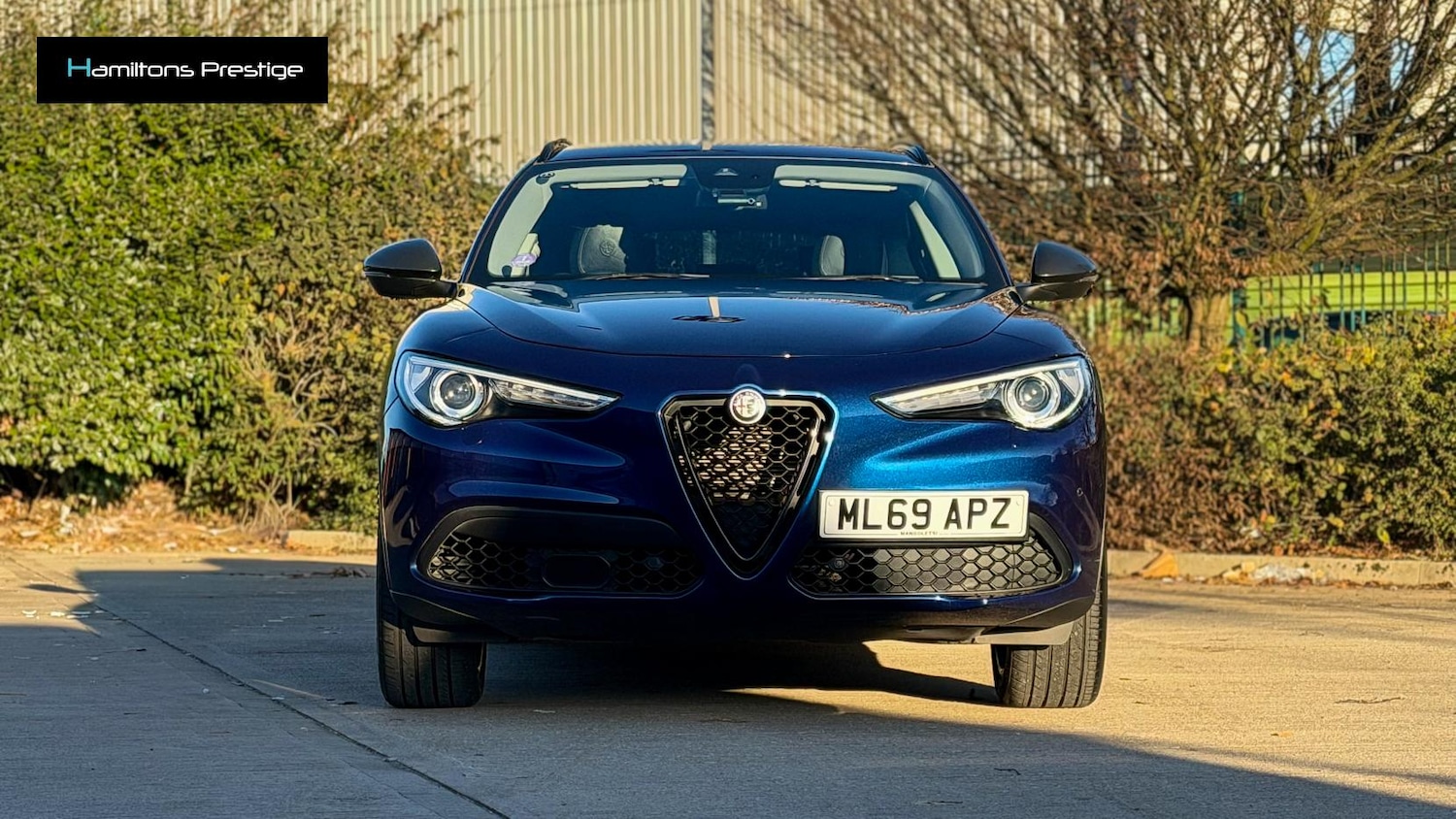 Used Alfa Romeo Stelvio 2019 for sale - 76631067: Photo 6