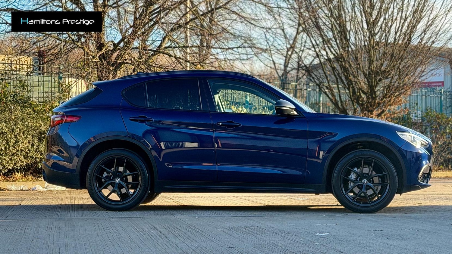 Used Alfa Romeo Stelvio 2019 for sale - 76631067: Photo 8