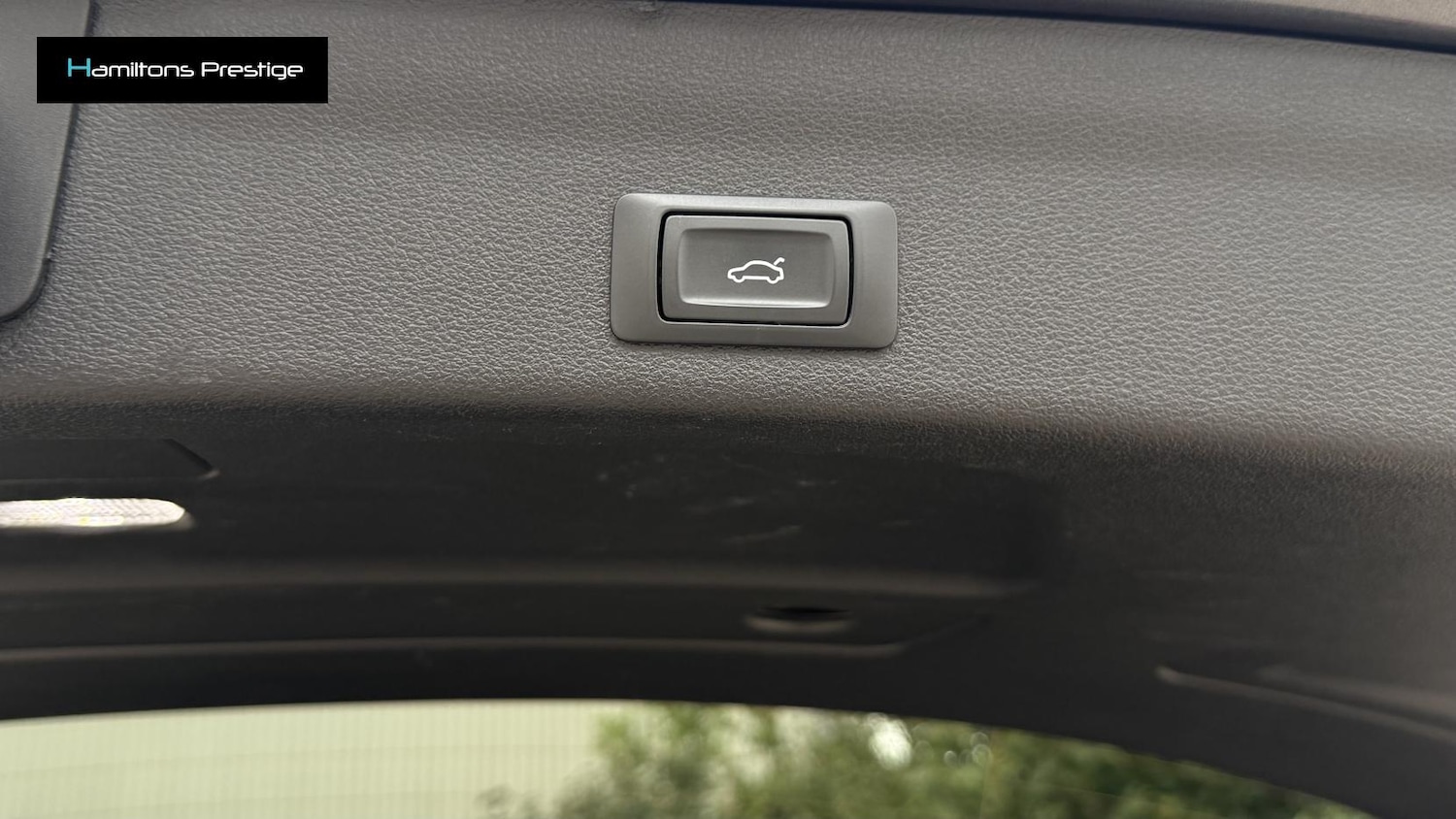Vehicle 81
