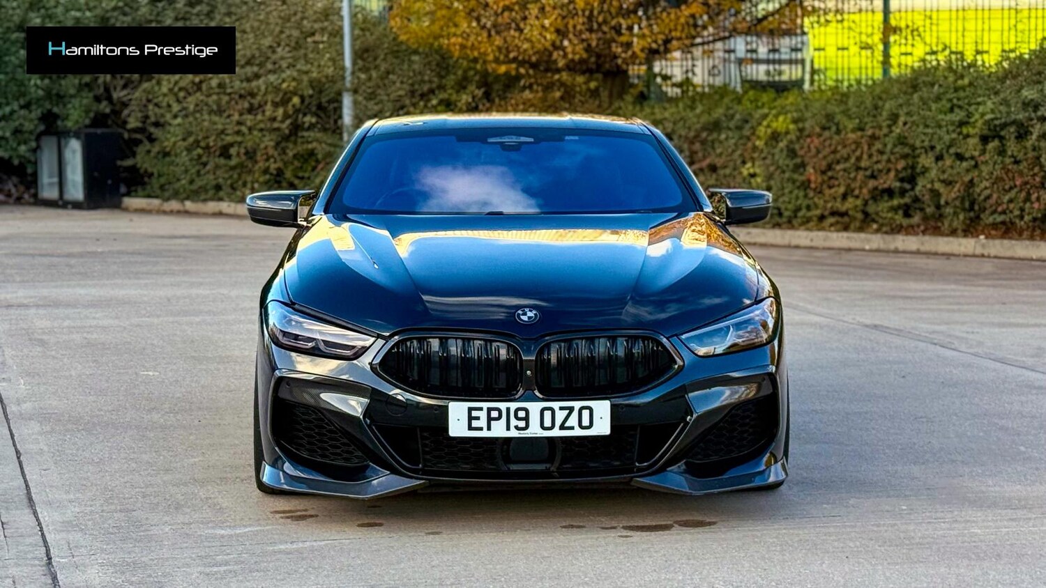 Used BMW 8 Series 2019 for sale - 76367264: Photo 16