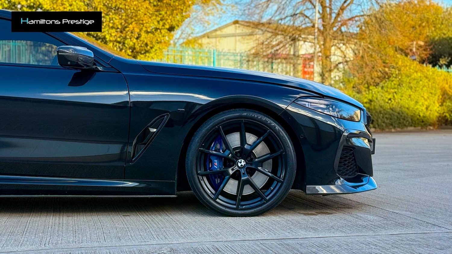 Used BMW 8 Series 2019 for sale - 76367264: Photo 18