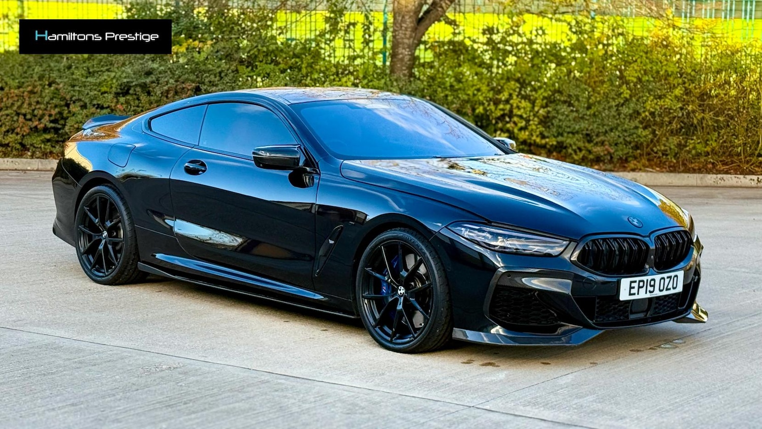 Used BMW 8 Series 2019 for sale - 76367264: Photo 6
