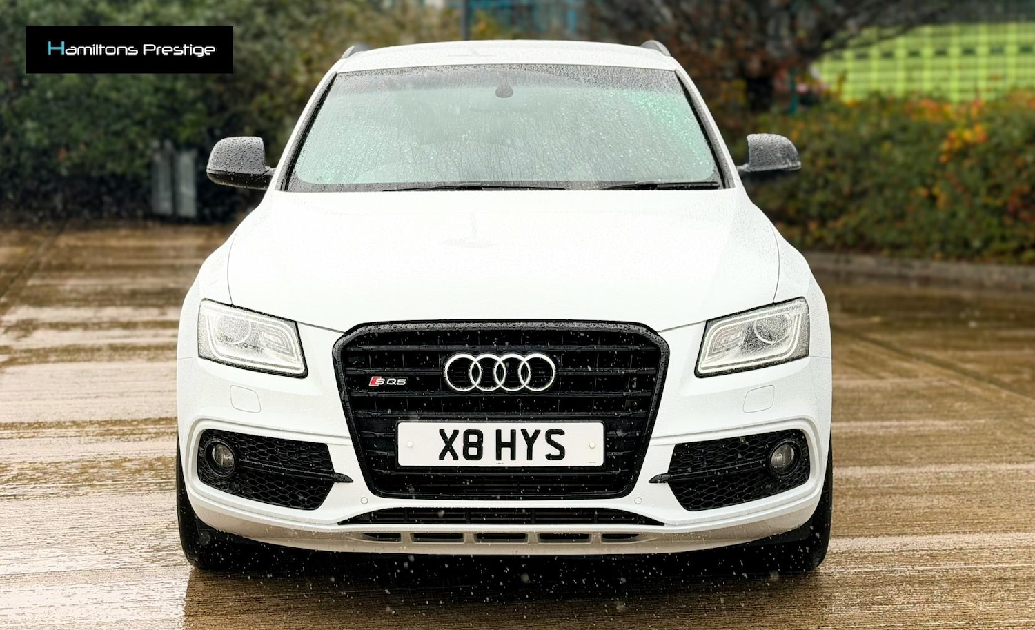 Used Audi SQ5 2016 for sale - 76549016: Photo 13