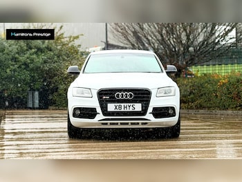 Used Audi SQ5 2016 for sale - 76549016: Photo