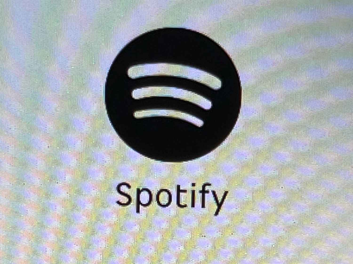 Used smart #1 2025 for sale - 77772108: Photo 25