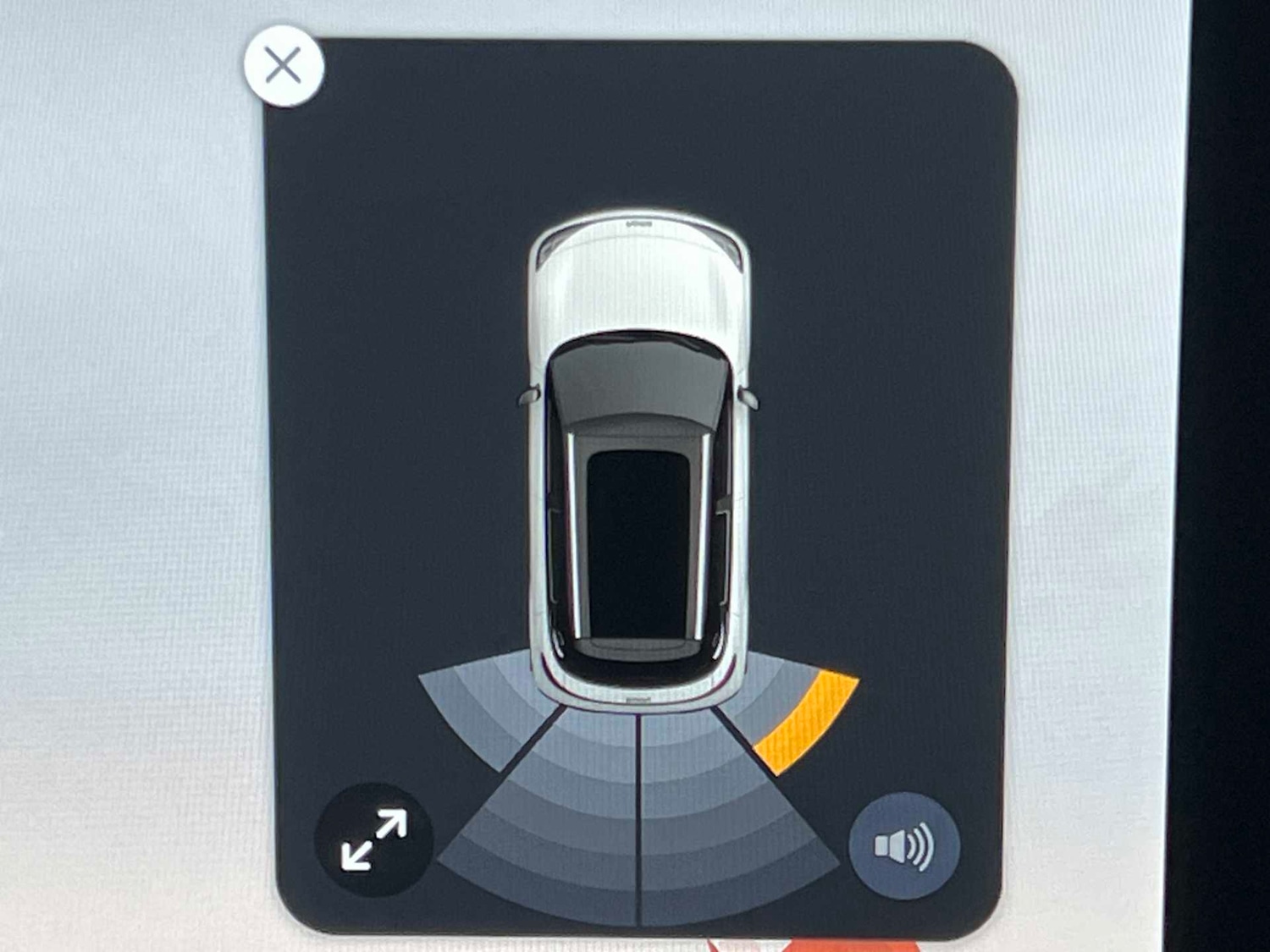 Used smart #1 2025 for sale - 77772108: Photo 4