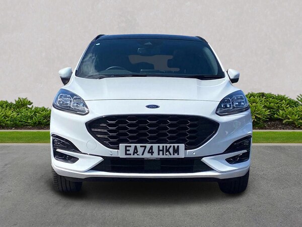 Used Ford Kuga 2024 for sale - 75485033: Photo 5