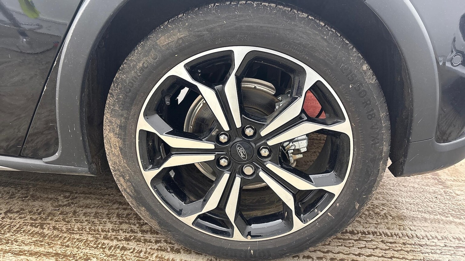 Used Ford Focus 2025 for sale - 78078172: Photo 6