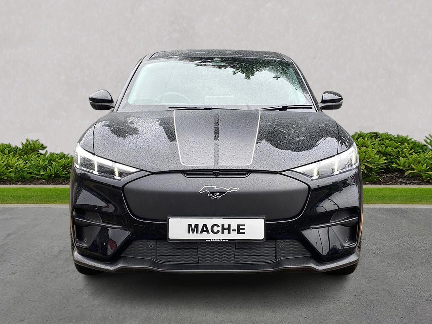 Used Ford Mustang Mach-E 2024 for sale - 77991824: Photo 5