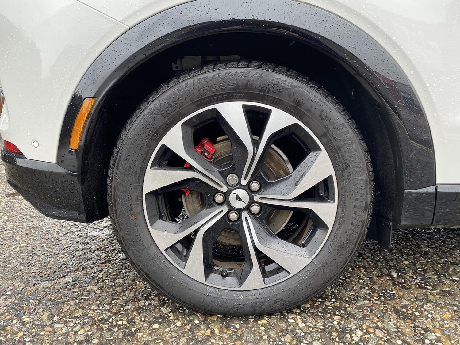 Used Ford Mustang Mach-E 2023 for sale - 77489605: Photo 9