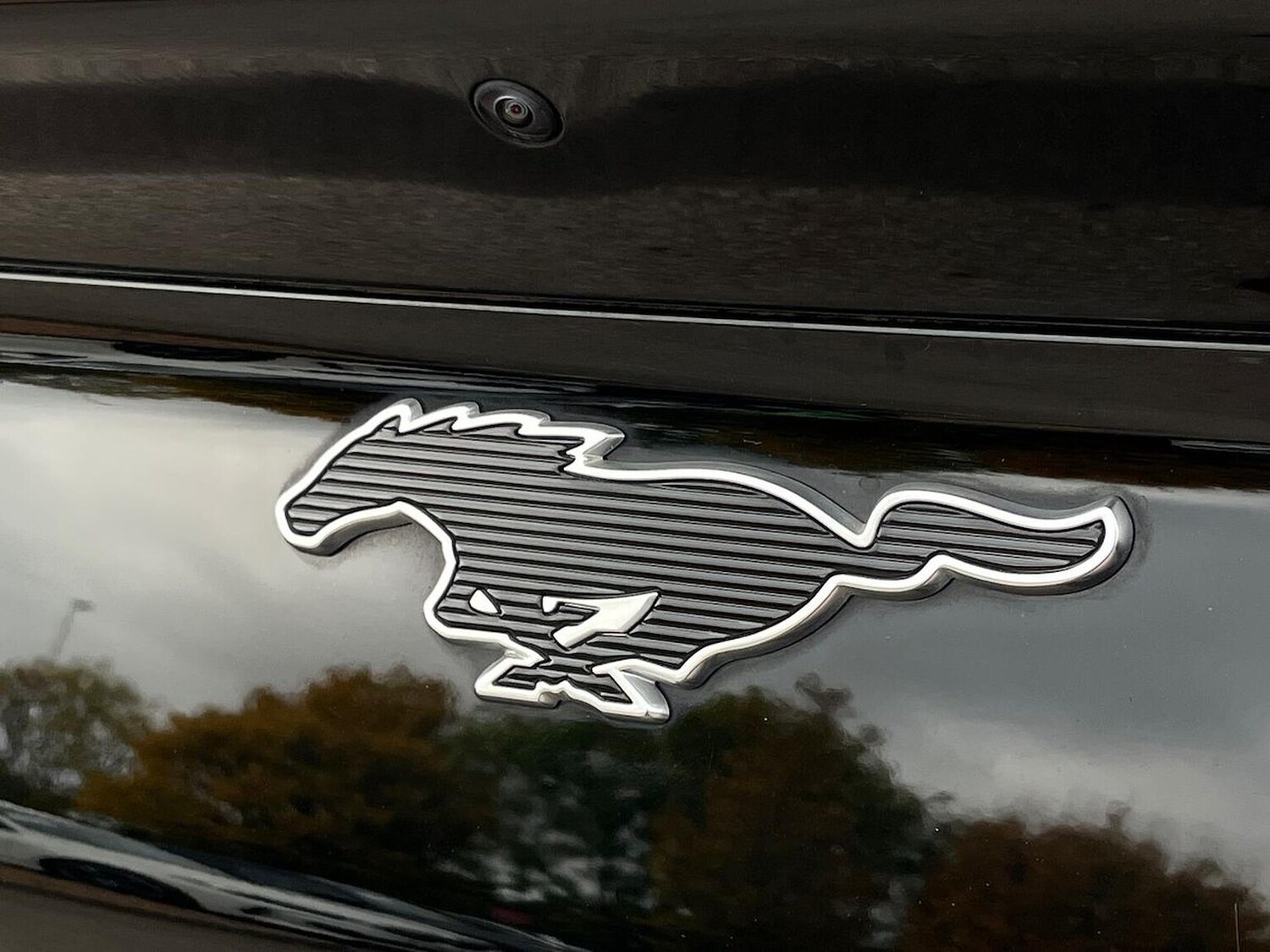 Used Ford Mustang Mach-E 2022 for sale - 76777308: Photo 35