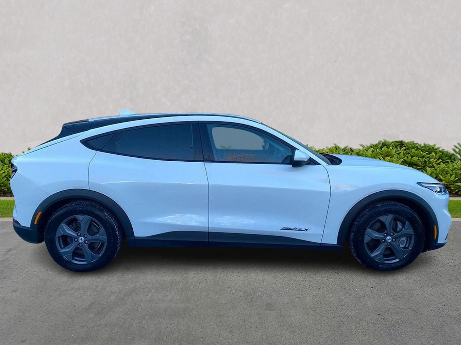 Used Ford Mustang Mach-E 2023 for sale - 77489548: Photo 3