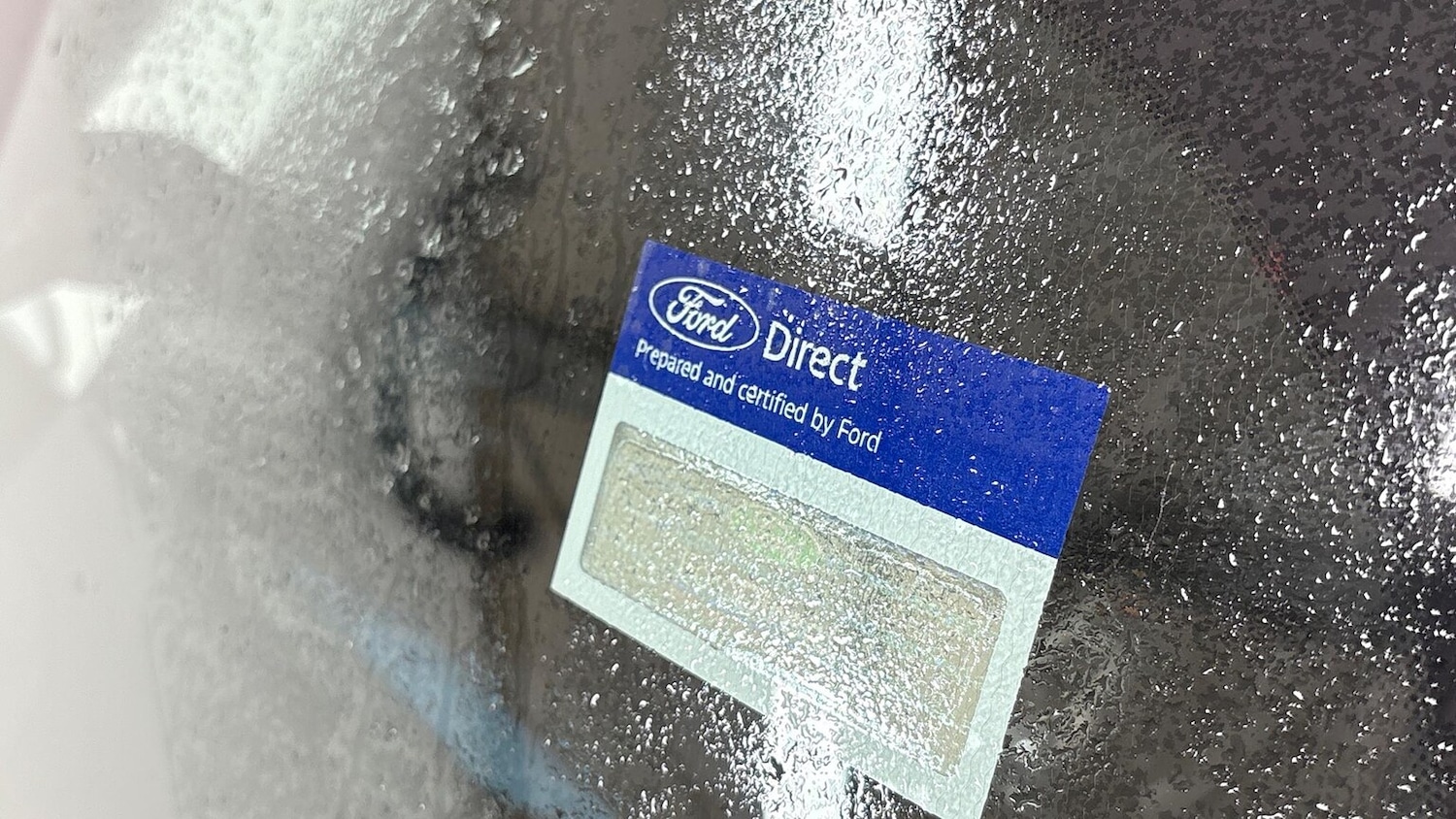 Used Ford Kuga 2025 for sale - 77069302: Photo 12