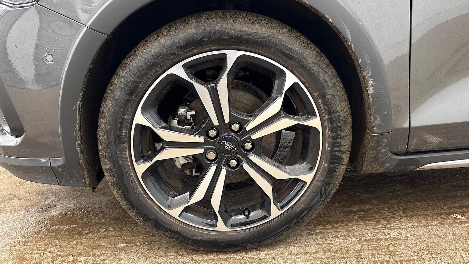 Used Ford Focus 2025 for sale - 78011642: Photo 6