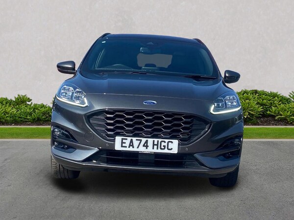 Used Ford Kuga 2024 for sale - 75545503: Photo 5