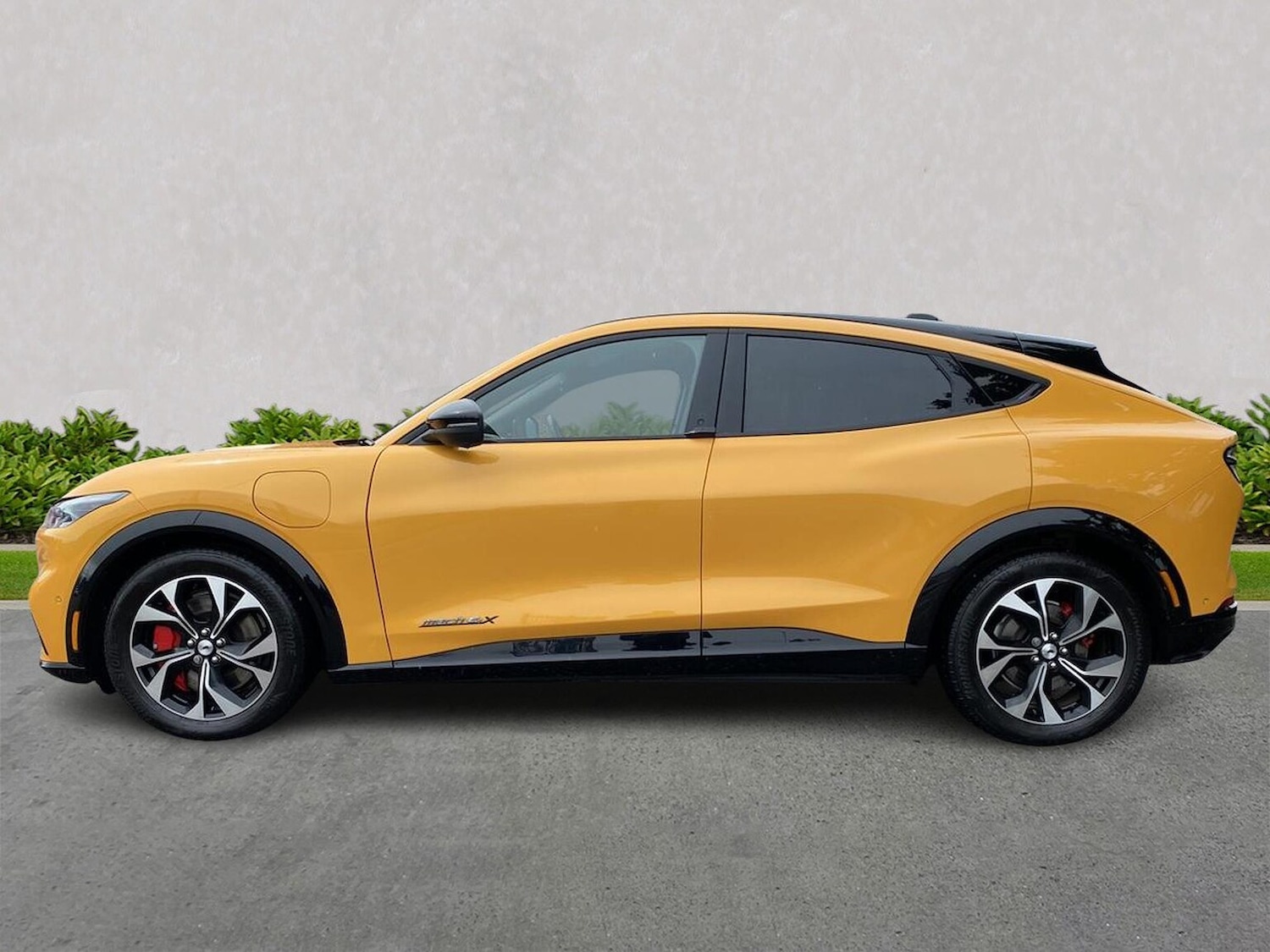 Used Ford Mustang Mach-E 2023 for sale - 77489618: Photo 4