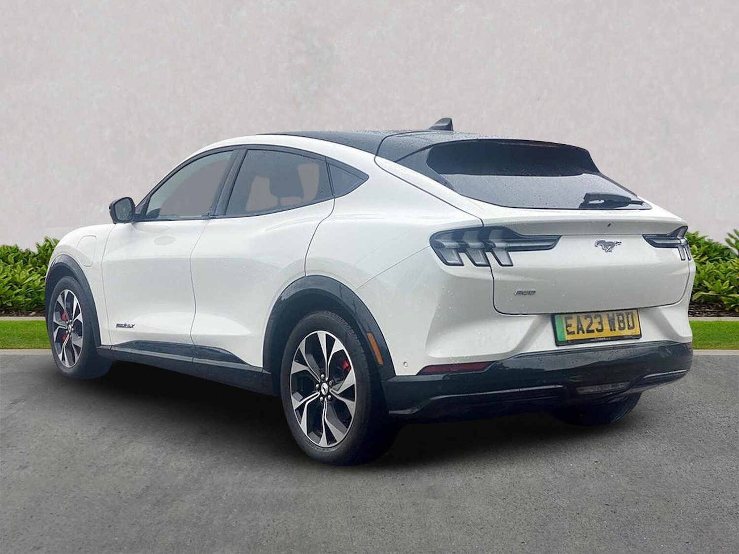 Used Ford Mustang Mach-E 2023 for sale - 76017885: Photo 5