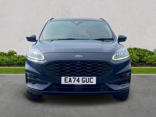 Used Ford Kuga 2024 for sale - 75505168: Photo 5
