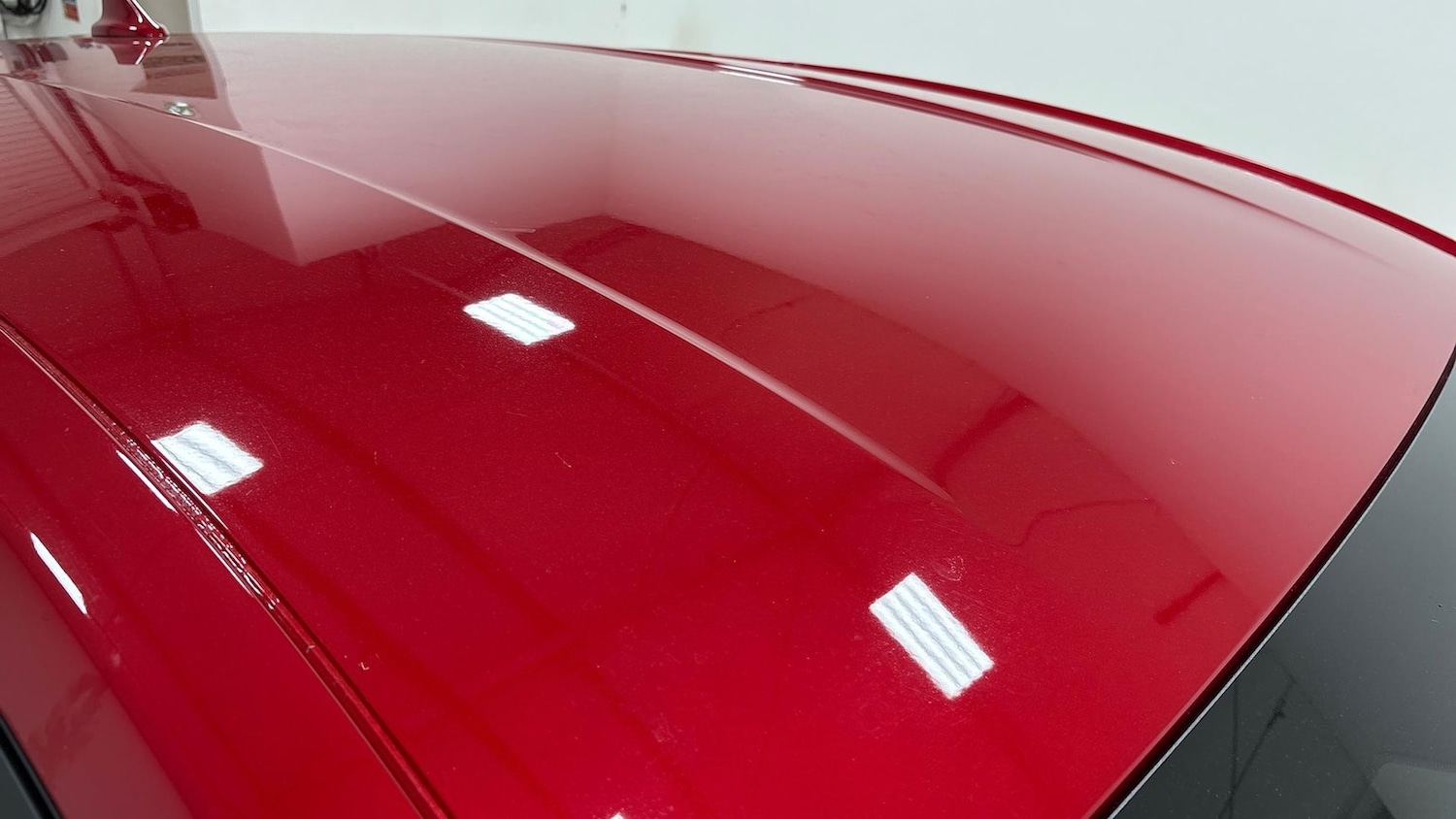 Used Ford Focus 2025 for sale - 76628061: Photo 13