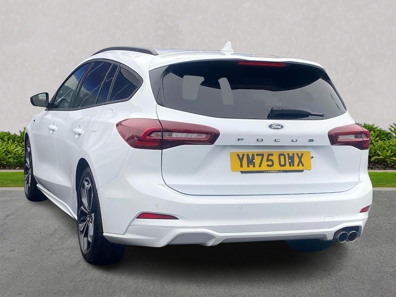 Used Ford Focus 2025 for sale - 77616709: Photo 2