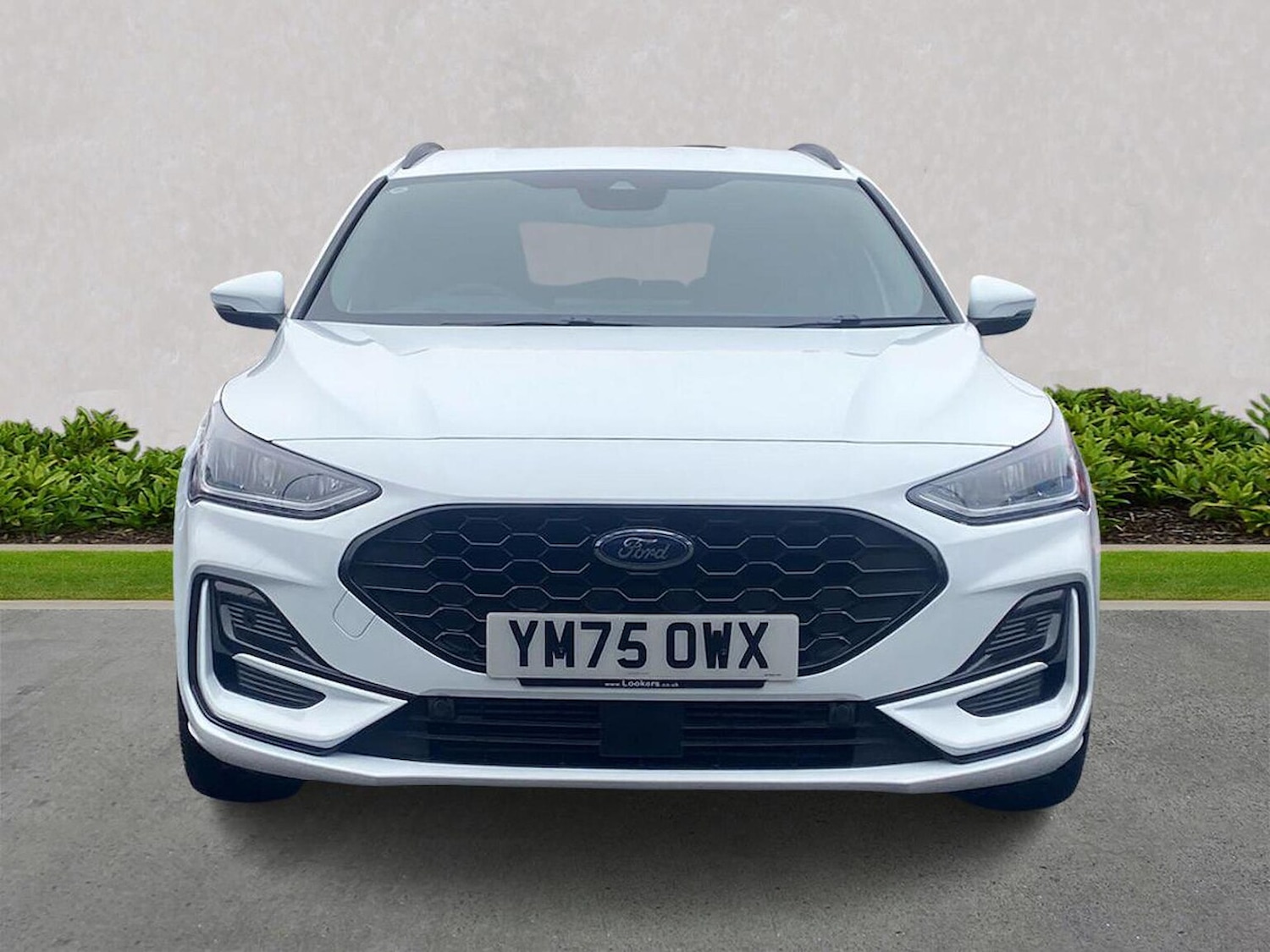 Used Ford Focus 2025 for sale - 77616709: Photo 5