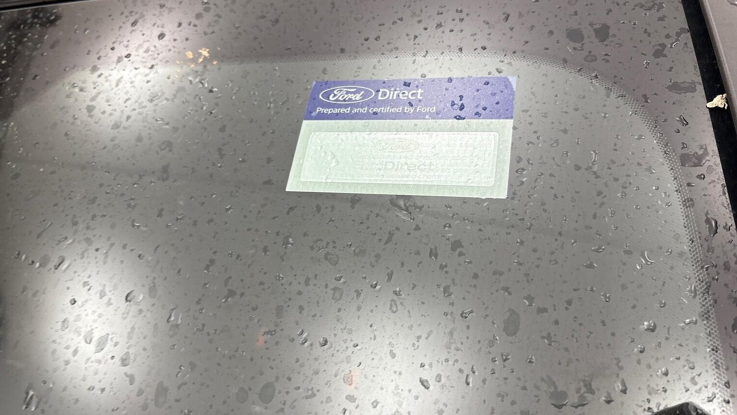 Used Ford Focus 2025 for sale - 77688041: Photo 12