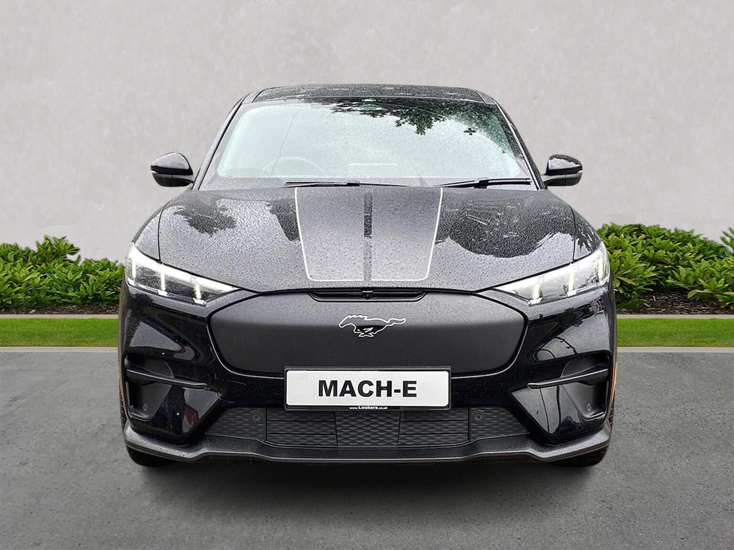 Used Ford Mustang Mach-E 2024 for sale - 77931714: Photo 5