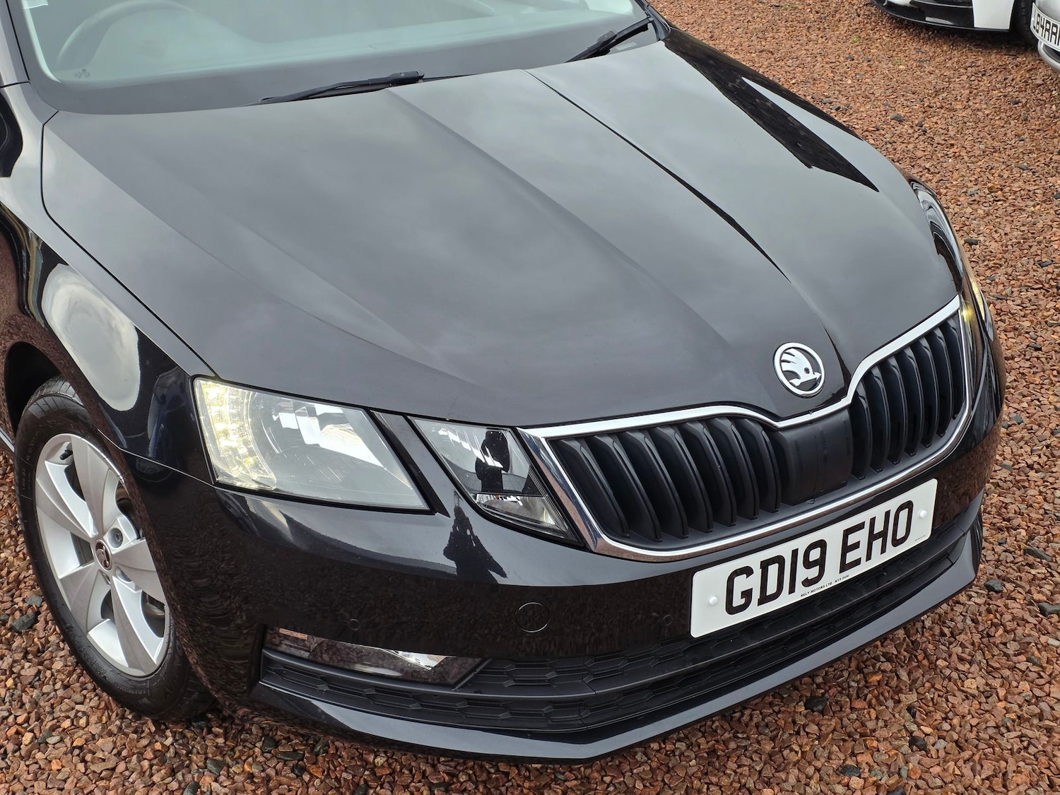 Used Skoda Octavia 2019 for sale - 76978020: Photo 2