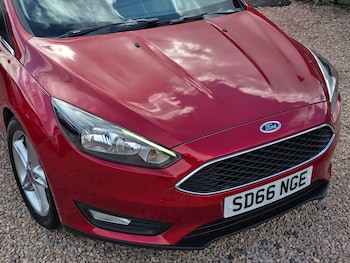 Used Ford Focus 2016 for sale - 79591761: Photo