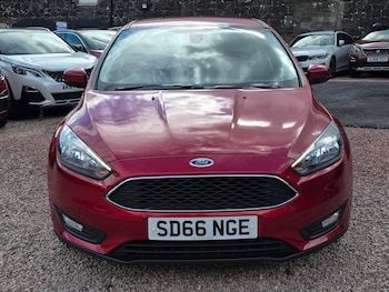 Used Ford Focus 2016 for sale - 79591761: Photo