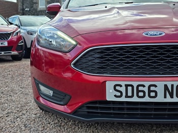 Used Ford Focus 2016 for sale - 79591761: Photo