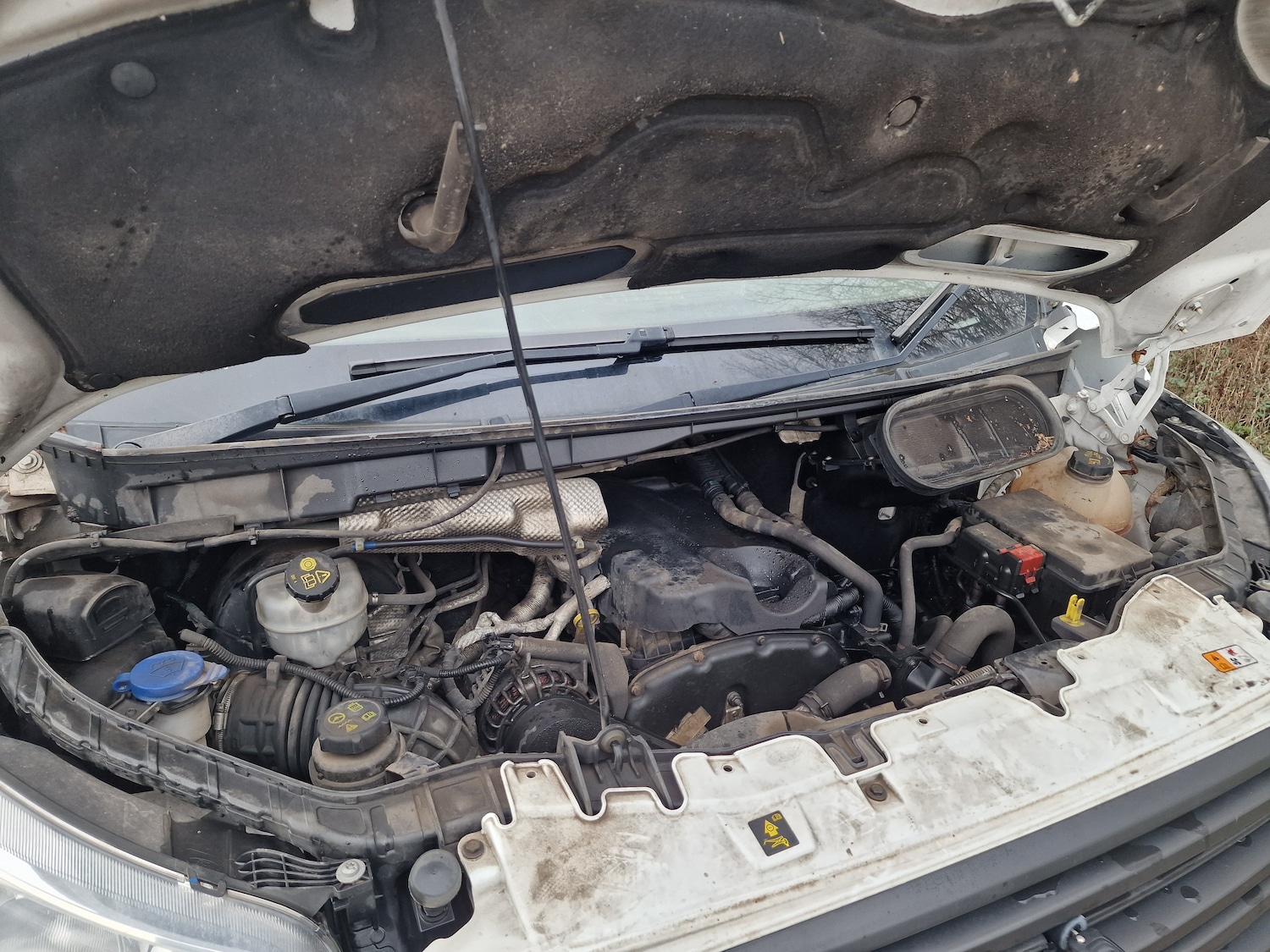 Used Ford Transit 2016 for sale - 77313860: Photo 13