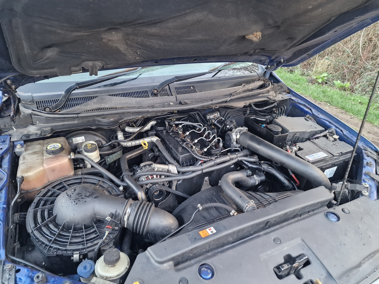 Used Ford Ranger 2013 for sale - 77766998: Photo 11