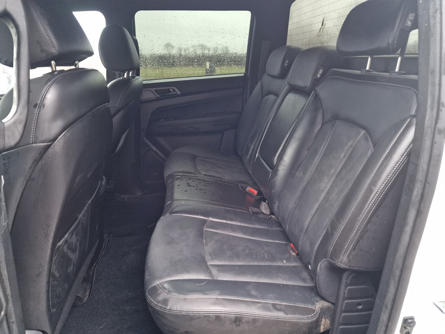 Used Ssangyong Musso 2023 for sale - 77465989: Photo 12